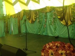 wedding-decor-green-on-stage